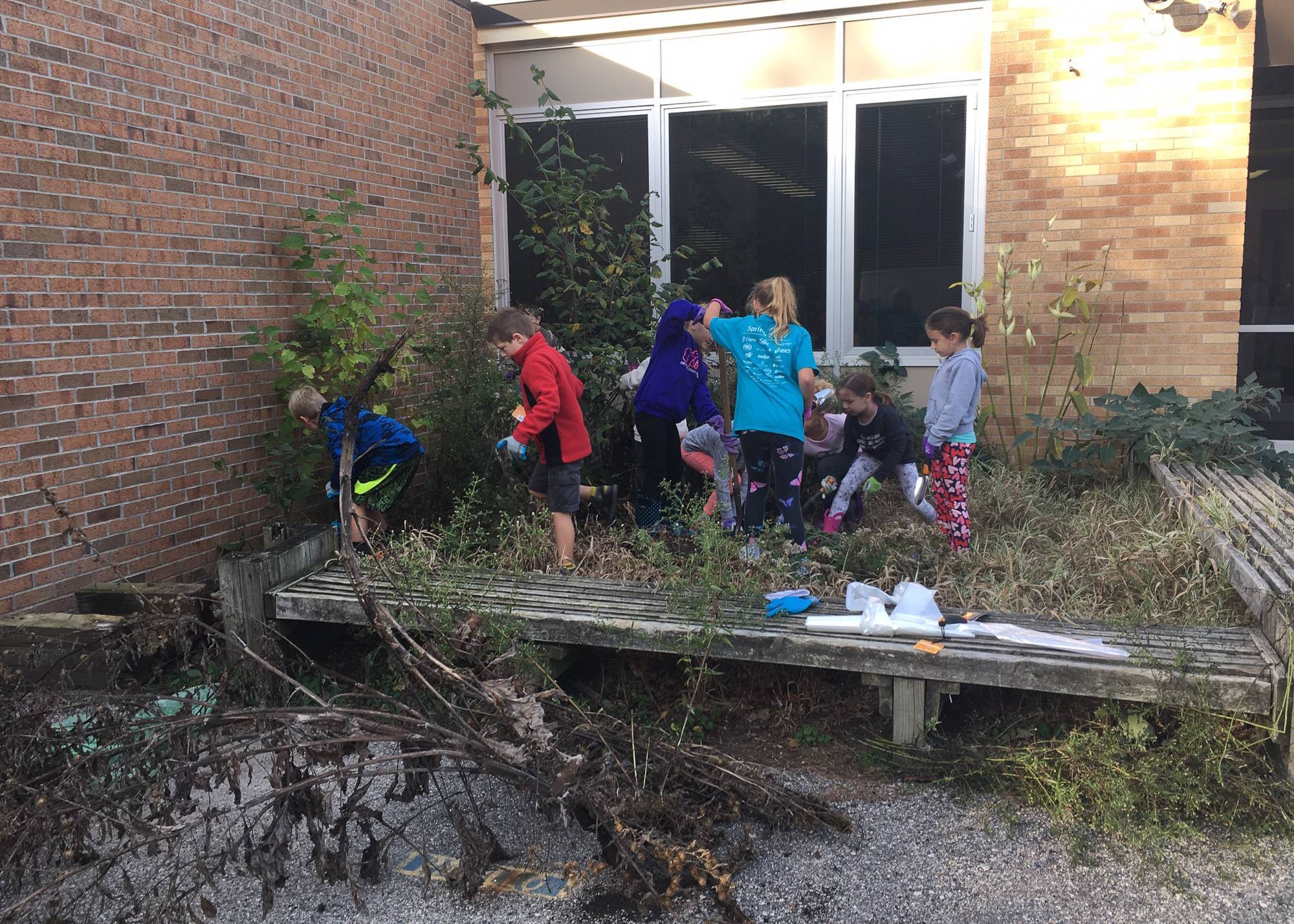 Collins Elementary